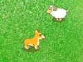 Hry Dog and sheep