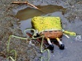 Hry SpongeBob Found Dead Jigsaw Puzzle