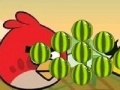 Hry Angry Birds - cut the rope