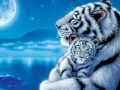 Hry Mother and Baby Tiger Puzzle