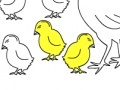 Hry Chicken Family: Coloring
