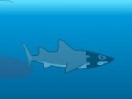 Hry Medieval Shark