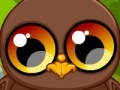 Hry Cute owl