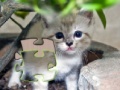Hry Jigsaw: Happy Kitty