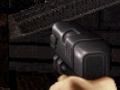 Hry Duke Nukem: FPS