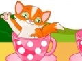 Hry Cat in Cup