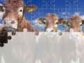 Hry Gorgeous Cows Jigsaw