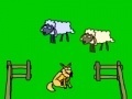 Hry Sheep!