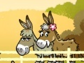 Hry Mi and my donkey