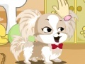 Hry Cute dog contest