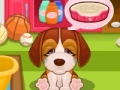 Hry Cute Puppy Care