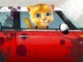 Hry Ginger car wash