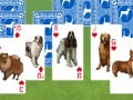 Hry Best in show: Solitaire