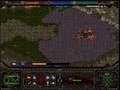 Hry Starcraft Flash Action 5