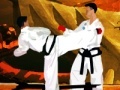 Hry Tae Kwon-Do Competition