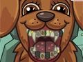 Hry Pet Crazy Dentist
