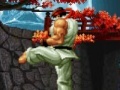 Hry The king of the fighters. Wing V1.8