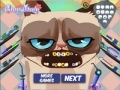 Hry Grumpy cat. Dental care