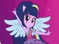 Hry Equestria Girls: Puzzles with Twilight Sparkle