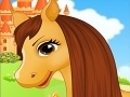 Hry Belle's Caring Horse