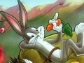 Hry Looney Tunes Differences