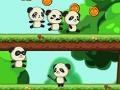 Hry Panda Shock Troop 
