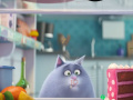 Hry The Secret Life Of Pets Spot The Numbers
