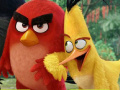 Hry Angry Birds Shooter 