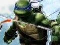 Hry Ninja Turtle Double Dragons 