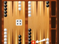 Hry Backgammon