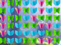 Hry Butterfly Collector