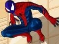Hry Spiderman Costume