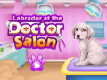 Hry Labrador at the doctor salon    