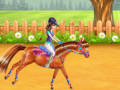 Hry Horse Care and Riding