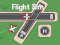 Hry Flight Sim