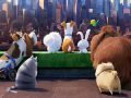 Hry The Secret Life Of Pets Find Objects