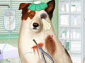 Hry Doctor For Dog With a Blog