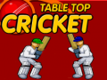 Hry Table Top Cricket