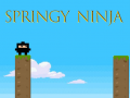 Hry Springy Ninja