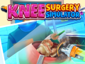 Hry Knee Surgery Simulator
