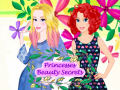 Hry Princesses Beauty Secrets