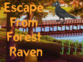 Hry Escape from Forest Raven