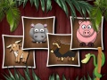 Hry Animal Shapes 3