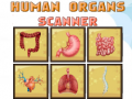 Hry Human Organs Scanner