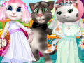 Hry White Kittens Bride Contest
