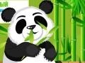 Hry Panda Care