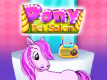 Hry Pony Pet Salon