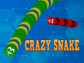 Hry Crazy Snake