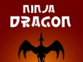 Hry Ninja Dragon
