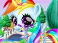 Hry Rainbow Pony Caring